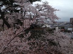 桜をおしんで