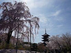 春の京都　2015