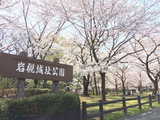 花見しました。