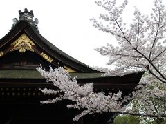 2015年4月♪春の京都♪二日目(東福寺・伏見稲荷）