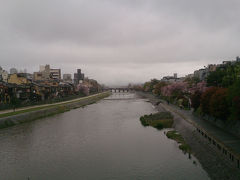 日帰りで京都の桜を見に行く2015