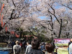 （北海道発）ＬＣＣで行く、上野公園の桜＆キッザニア東京＆消防博物館　１日目