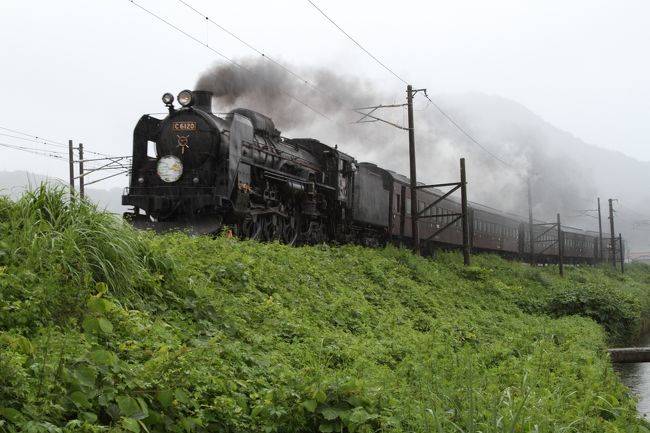 福島でSLが走るというので、日帰りで撮影に出かけました。<br /><br />ついでに、東北本線の撮影をまだしたことがなかったので、併せてすることに。<br />天候は良くありませんでしたが、行った甲斐のある日帰り旅行になりました。<br />