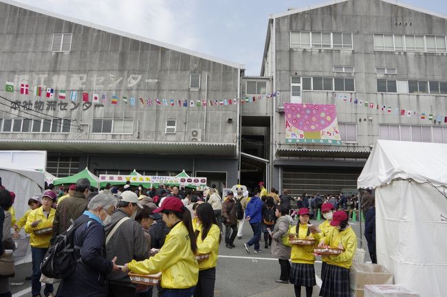 春の18きっぷ旅行2015　神戸　アーモンドフェスティバルに行ってきた