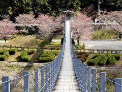 2015早春の九州路　〈熊本県下有数の桜の名所〉市房ダム湖の桜の見ごろにはちょっと早かった