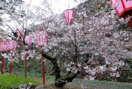 2015春、四国周遊(5/26)：3月29日(5)：徳島から高知へ、高知のホテル、高知城