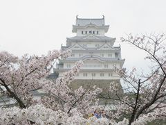 桜満開、小雨の姫路城を往く　前編