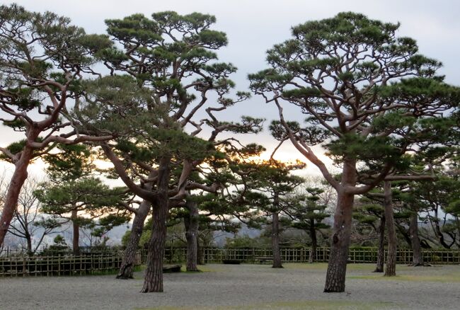 2015春、四国周遊(6/26)：3月29日(6)：高知、高知城、城内の桜、天守、本丸、二の丸