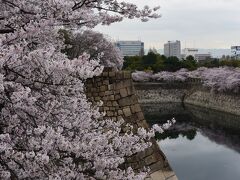 2015　大阪城のさくら散歩