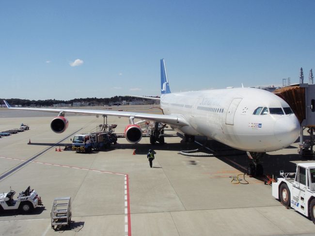 ここでは成田空港からコペンハーゲン空港乗り継ぎでケフラヴィーク空港までの飛行機の旅を中心にまとめてみた。<br />私は窓側に座れた時は外の景色を眺めて行くのが好きである。<br />　運よく今回は右側の窓側の座席であった。コペンハーゲンまでの約11時間の飛行機から見た風景を中心に機内モニターを参考にしてまとめた。コペンハーゲンからケフラヴィークまでは夜の飛行で外は見えないし座席も窓側ではなかった。<br /><br />　成田国際空港12時35分（日本時間）出発→SAS（スカンジナビア航空A330a）→日本海→ロシア→北極海→スカンジナビア半島→コペンハーゲン空港15時43分(現地時間）着　約10時間20分の飛行（成田とコペンハーゲンとの時差8時間）<br /><br />　コペンハーゲン空港での待ち時間が長くて大変だった。<br /><br />　コペンハーゲン空港20時20分発→FI（アイスランド航空　B757-200）→ケフラヴィーク空港着22;20<br />　約3時間の飛行（コペンハーゲンとケフラヴィークの時差1時間）<br /><br />　ケフラヴィーク空港は雨が降り激しい風が吹いて我々を歓迎した。雨の中をスーツケースを持って移動するのは大変だった。とにかく1日目は何とか無事にアイスランドに到着した。<br /><br />　それからレイキャヴィークまではバスで移動する。50kmで約45分かかった。<br />　フォスホテル　バロンに着いたのは12時ごろだった。