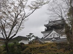 満開の桜　　ＩＮ　岡崎城　パートー２