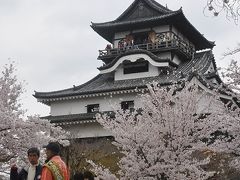 満開の桜　ＩＮ　犬山城　　　　　　　パートー３
