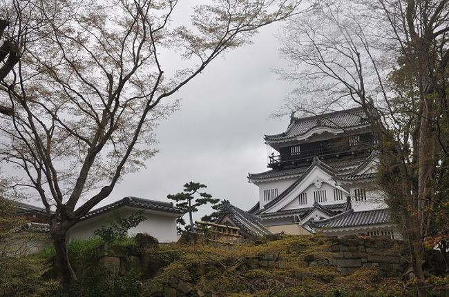 岡崎城の起源は１５世紀前半までさかのぼる。<br />　明大寺の地に西郷頼つぐによって築城させたのが<br />　そのはじまりである。