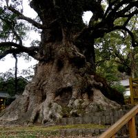 2015.1指宿・知覧・蒲生一人旅9-フォンタナの丘かもう，蒲生八幡，蒲生の大クス