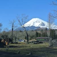 冬のサファリパークと富士山の旅