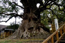 2015.1指宿・知覧・蒲生一人旅9-フォンタナの丘かもう，蒲生八幡，蒲生の大クス