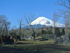 冬のサファリパークと富士山の旅