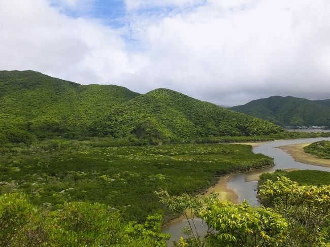 ■はじめに<br />　これまで、沖縄県の各島で鉄道の遺構を追ってきたりしている（拙稿「RACで行く大東島の旅」http://4travel.jp/travelogue/10742122 および「沖縄1万円旅（鐡ネタ落穂拾い）」http://4travel.jp/travelogue/10853703 ）。沖縄には現在はモノレールしかないが、以前は多くの軽便鉄道があり、またサトウキビ鉄道も運行されていたため、上記のような旅が可能であった。<br />　さて、今回は鹿児島県の奄美大島である。この島は過去も現在も（おそらく未来も）鉄道不毛の地であり、鐡旅などは不可能な所である。<br />　しかし、そこを敢えて無理矢理にこじつけるのが、今回の目的である。<br />（旅行記というほどのものではないため、簡易に記載しておきたい）<br /><br />＠マングローブ林