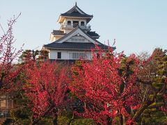 青春１８きっぷの旅　２０１５年春①　＝ 長浜 =　　