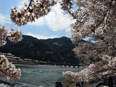 2015年桜　～嵐山～
