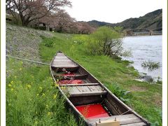 Solitary Journey ［1560］ わかってはいたけど錦帯橋周辺はすでに葉桜～。でも菜の花と八重桜が元気でしたよ。＜錦帯橋＞山口県岩国市