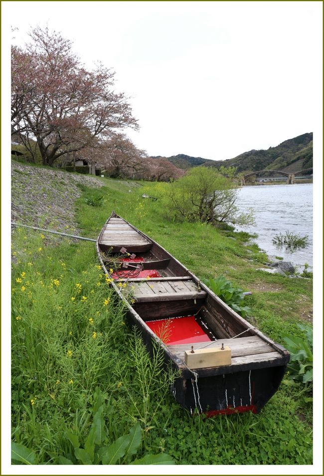 ■日本三名橋・錦帯橋の葉桜と菜の花と仙台枝垂桜<br /><br />▼錦帯橋／山口県岩国市岩国<br />　日本三名橋の一つと言われ、現在も岩国の名勝として知られています。橋の向こうには、吉川藩主歴代の居館跡を公園として開放した吉香（きっこう）公園があります。<br />　また花の名所でもあり、春には錦川土手のソメイヨシノやヤエザクラなどを含めおよそ３０００本が開花します。<br />◆仙台枝垂桜が満開！<br />　山口県指定の文化財「香川家の長屋門」前に、仙台枝垂れ桜がいまが見ごろと咲き誇っていました。平成２１年２月、岩国西ロータリークラブ創立４０周年記念に植樹されたものだそうです。<br />　樹高は５ｍほどで透き通ったようなピンク色をしたきれいな八重桜です。明治時代の仙台市長ゆかりの桜だそうです。<br /><br />【手記】<br />　わかってはいたけど錦帯橋周辺はすでに葉桜～。時間があるとジッとしておられない性分なんですよねー。わかっちゃいるけどやめられない～♪（古っ！）でも菜の花と仙台枝垂桜が元気に咲いていましたよおー。<br />　春らんまん～♪この日は山口県錦帯橋から北へ進路をとり、錦町を周って島根県吉賀町を抜けて広島県吉和辺りの里山景色を楽しみながら走り回ってきました。そうそう、錦町の「とことこトレイン・きらら夢トンネル」はたいへんきれいでしたヨ。