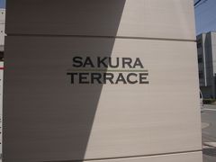 京都 サクラテラス(SAKURA TERRACE)宿泊記【2015年4月】