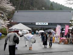 吉野山～本郷の瀧桜（又兵衛桜）