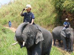 父ちゃんと息子の男旅 ④ - 3　タイエレファントホーム