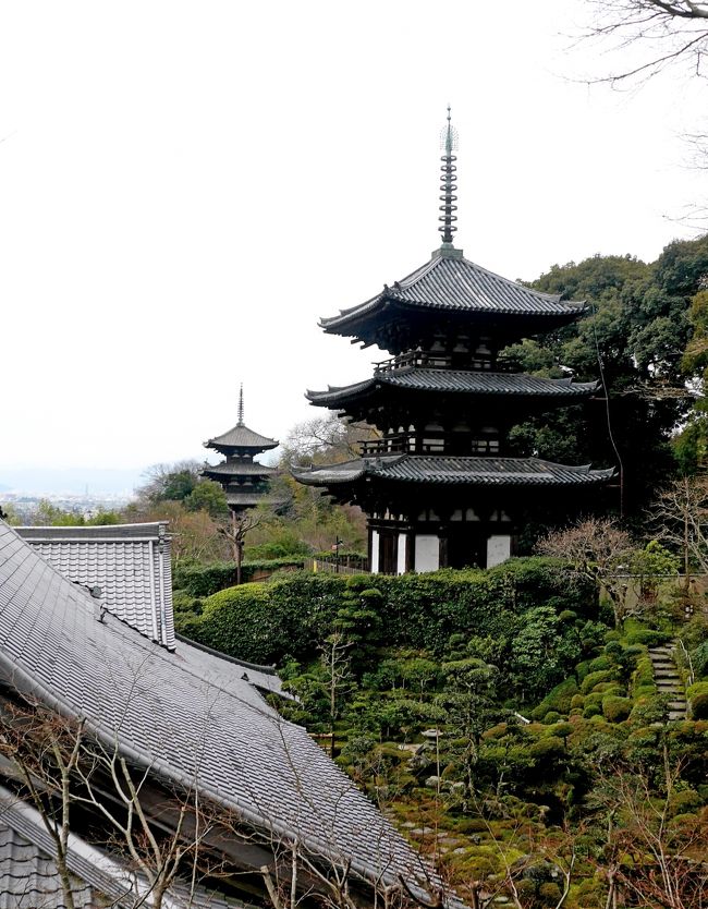 準急樫原神宮前行で当麻寺1432着，當麻寺まで参道を上る．途中に葛城市相撲館「けはや座」に入る．300円．本場所と同サイズの土俵や相撲の歴史，相撲関連の資料が展示されている．よほど相撲が好きでない限り，入る必要はないのかな．しかしたくさんのパンフレットをゲットすることができた．<br />前には當麻蹶速の塚がある．古い街並みを當麻寺に向かう，1500當麻寺山門前に着く<br />1501當麻寺東大門に着く．ちょっと相撲館に行ったことを後悔する．全部は回りきれないね．当然四天王様を一番拝みたかったので曼荼羅堂から講堂，本堂とみる．本当にここの四天王はすばらしい．この四天王を参拝したくて若いころから何度も来ている．しかしこの10年ほどはチャンスがなかった．やはり素晴らしかった．西南院の庭園と水琴窟，また五重塔の借景もすばらしかった．奥院では二十五菩薩来迎像が極楽浄土への旅を模して愛らしい．やはり来てよかった．1627の準急で阿部野橋．1900発NH38便で帰京した．久しぶりに當麻に行って本当に心が癒された<br />詳細はsuomita2<br />大阪出張　當麻寺を訪ねる2-葛城市相撲館けはや座，當麻蹶速塚<br />http://4travel.jp/travelogue/10991748<br />大阪出張　當麻寺を訪ねる3-當麻寺，西南院，奥院<br />http://4travel.jp/travelogue/10991820<br /><br />