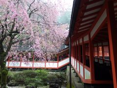 初LCCで行く初鹿児島！初マタ旅♪②３～４日目