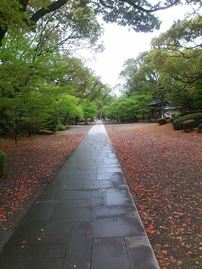 熊本城の周辺