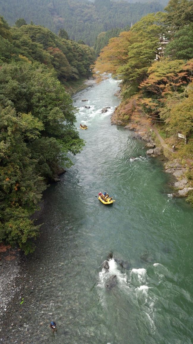 ガスストーブを買って、山ごはんのお試しに、御岳山へ行ってきました。<br /><br />初御岳山。ネット情報を頼りに出かけました。<br /><br />紅葉にはまだ早かったのですが、緑がきれいです。<br /><br />御岳山はまだまだ奥へ入って行けば魅力豊富のようですが、<br />この日はほどほどにしておきました。<br />