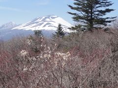 軽井沢散歩・碓氷峠・県境・そしてハイキング