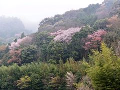 並石ダムと三の宮の景