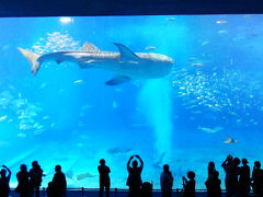 夫婦旅行】沖縄１st☆１日目～本島