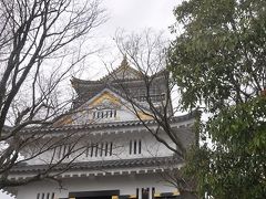 満開の桜　ＩＮ　岐阜城　　パート　ー　４　　　