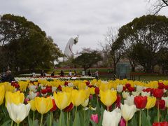 万博公園チューリップフェスタ2015＆桜