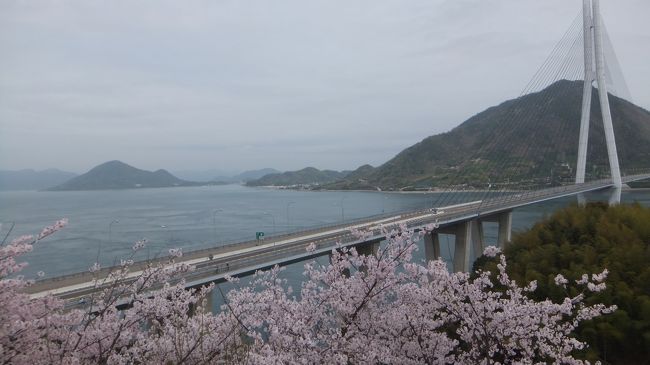 　松山を訪れたら、天気予報のとおりやっぱり雨が来た。<br /><br />雨なら仕方ないので松山市内を市電、バスなどを乗りながら<br /><br />観光巡りかな？と思っていましたら、三日目は朝から雨が<br /><br />止んでいたので、来る前の予定通り、しまなみ海道に行こう。