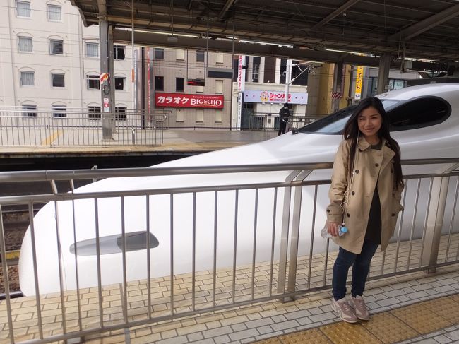 2015年3月28日<br />タイ人のリクエストで、<br />浜松城の桜と御前崎からの富士山を見に行きました。<br /><br />案内してくれた私の友人に、<br />食事・デザート・イチゴをおごってもらい、<br />桜・富士山も見れて、<br />ご機嫌な日みたいでした。