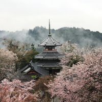 吉野・葛城へ　金峯山寺秘仏本尊特別御開帳