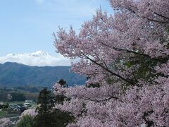 アルプスと桜が眺められる信州の高遠（長野）