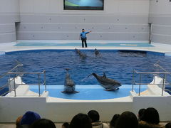 いおワールド かごしま水族館①