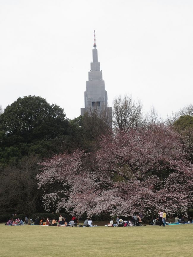 2015年3月29日(日)前日に出張から帰ってきた夫と一緒に<br />新宿御苑にお花見に行きました。<br />入口では、お酒を持ち込まないように、入念に荷物をチェックされました。<br />未開封のペットボトルは大丈夫でしたが、<br />開けてあるペットボトルや水筒は、<br />中身を確認していました。<br /><br />でもお陰で、家族連れもお子様連れも<br />のんびり楽しめる、いいお花見会場となっていたと思います。<br />混んでたことは混んでましたけど・・・