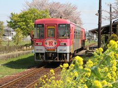 菜の花の北条鉄道