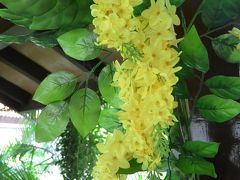 暑季から雨季へのヤンゴン　４～５月