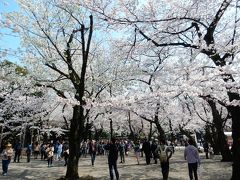 東京２０１５桜　【６】靖国神社