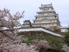 青春18切符一人旅　桜満開の姫路城～京都　東寺の夜桜にうっとり～前半