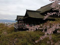 ２日目　今日は清水寺から・・・・①