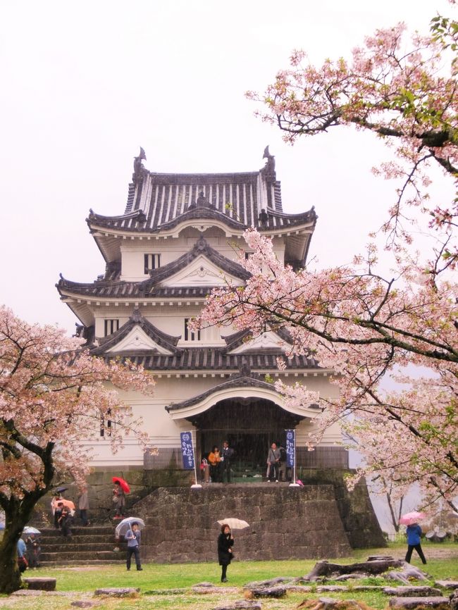 ４月の第１週の週末にお城＆桜＆温泉を楽しむため、愛車とともにしまなみ海道を渡り四国に上陸。<br />しかし、天候は生憎の雨。<br />桜は散り始め満開の期を逸してしまいました。<br /><br />初日は、しまなみ海道をを渡り道後温泉へ。<br />二日目は現存天守『宇和島城』そして同じく現存天守『松山城』へ。<br /><br />道すがら散り始めた桜を楽しみながらの旅となりました。